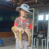 Phiê