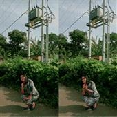 Giải