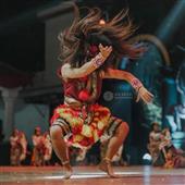 Gấu 