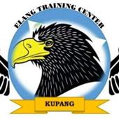 Gi