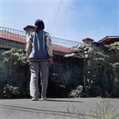 Gấu 
