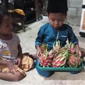 Bảng