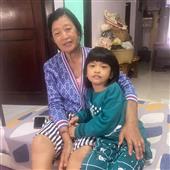 Vệ t