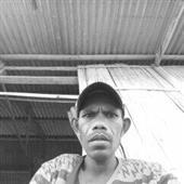 Roul
