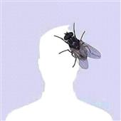 Ca
