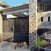 Sự