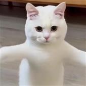 Xì
