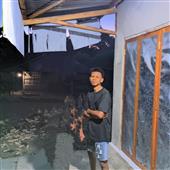 Vị