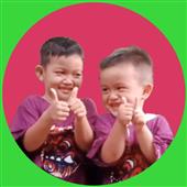 Rắn 
