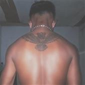 Vi