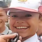 Bầy 