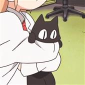 Soi 