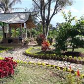 Trực
