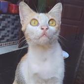 On