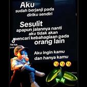 VƯƠN
