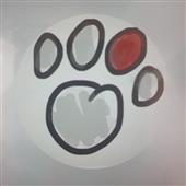 Wo