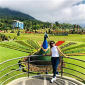 Dự