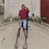 Gi