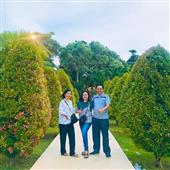 Trực