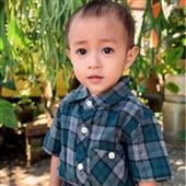 vậ