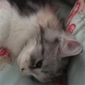 Nhảy