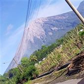 Phiê