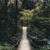 Ca