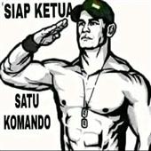 Cu