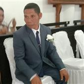 bò