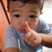 Chỉ 