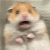 VƯ
