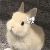 Wa