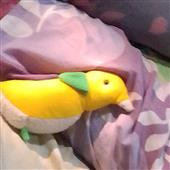 Gấ