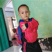 Roya