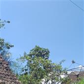 Giải