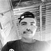 Gi