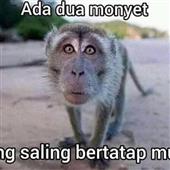 Đạ