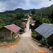 Lươn