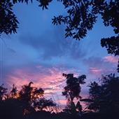Bả