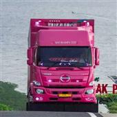 Xem 