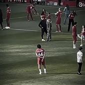 Bả
