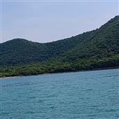 Mẹo 