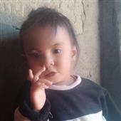 Dự