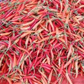 Nổ