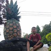Bằng