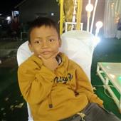 Mafi