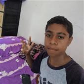 The 