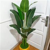Kẹ