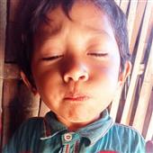 Gấp 