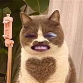 Ch
